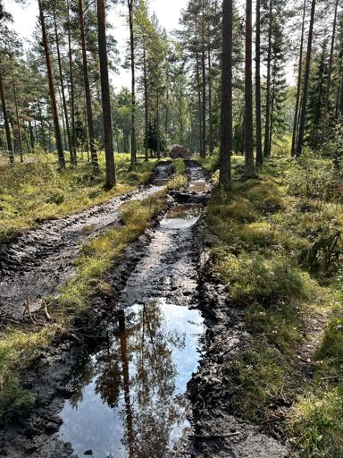 Täytyy varoa, ettei tuu rumia renkaanjälkiä:)