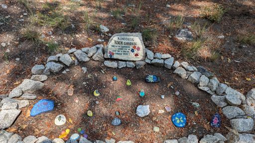 Loved this. This was along the road just before the Chalk Creek Trailhead (the turnaround point for the hike). The road runs through a bit of a neighborhood and this person clearly knows they live on the CO Trail. Didn't take a rock this time (don't feel like I deserve it, I'm just a day-hiker), maybe I'll paint something and come back.