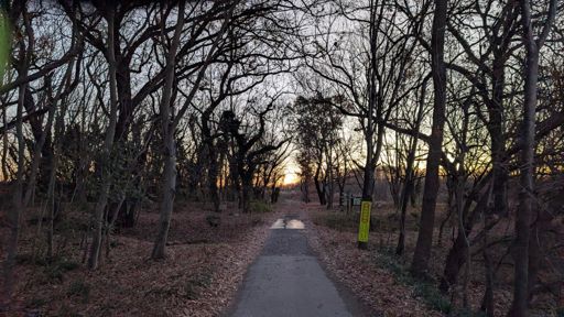 日の出の20分前
ちょうど良いタイミング💕