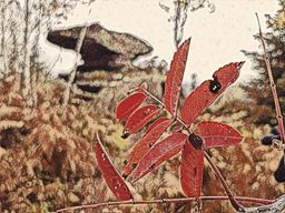 Sortie à vélo le midi