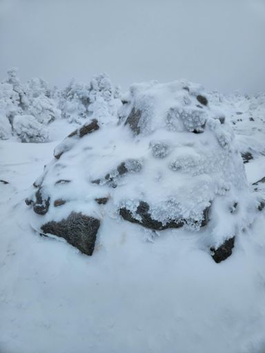 The "Throne" at the summit of S. Kinsman...subscribes to the theory of "a throne should not be a comfortable seat."
