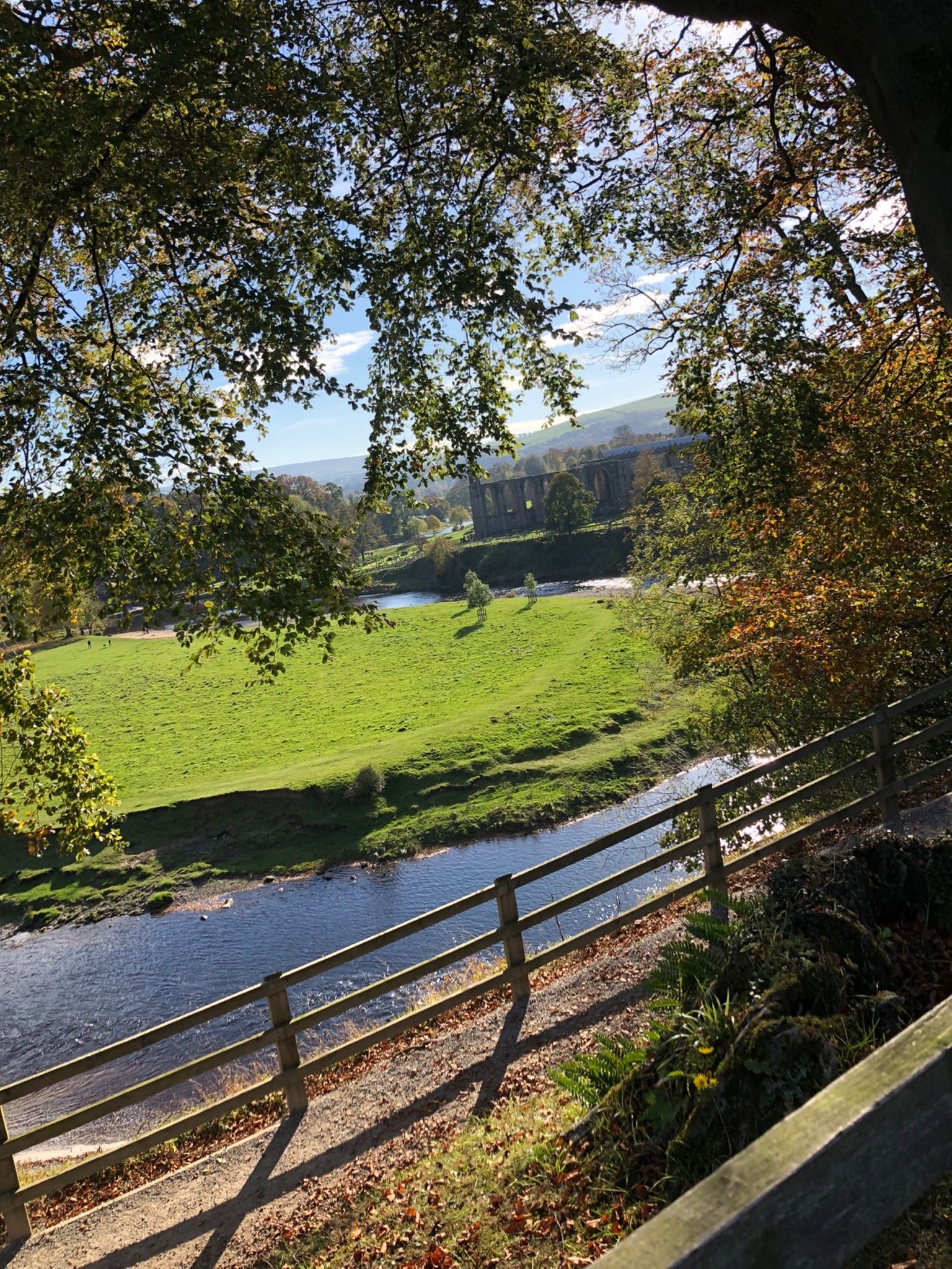 cycle factory langers