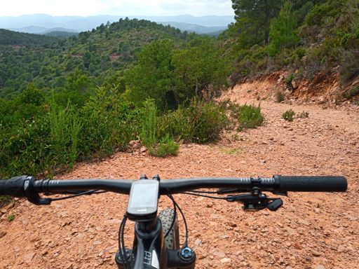 Trialera pedregosa de la Dehesa.