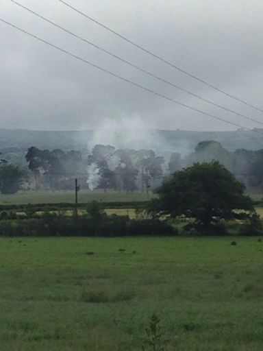 Another nice summer day