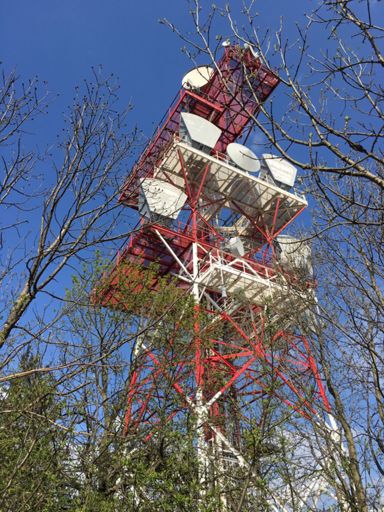 Vierjochkogel, trail Sender starts from here😉