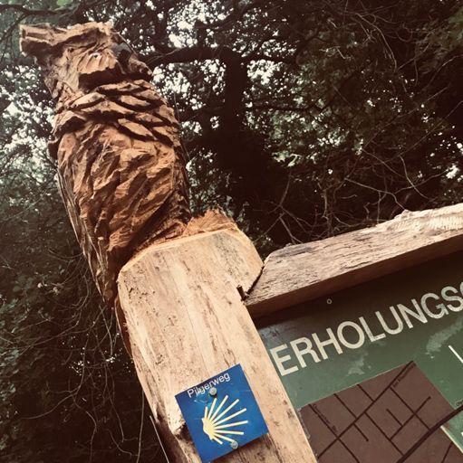 Start nach kurzer Neutalisation