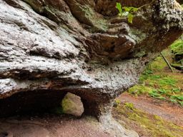 Sortie à vélo l’après-midi