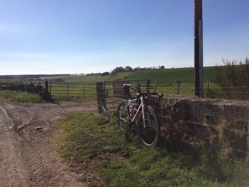 Wow, it's not raining, snowing or below zero.