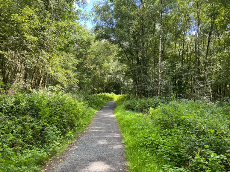 20KM Parkbos | 20.0 km Running Route on Strava