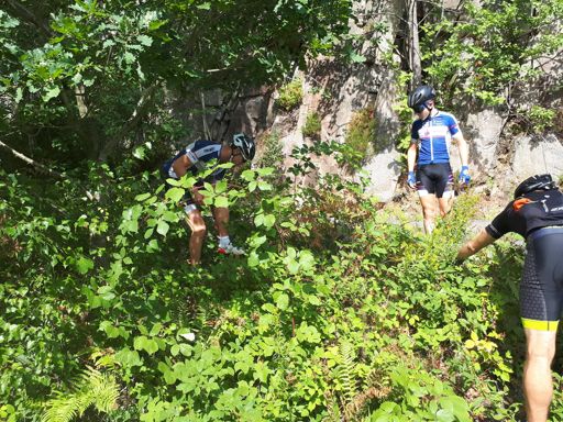 "Tø mi tue ingen har låv å tjue", Scott cup general @Asbjørn Lohne liker seg i skog og kratt...