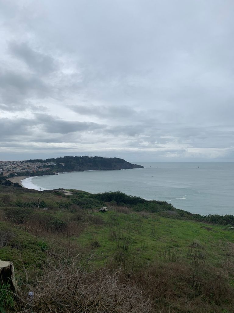 Butterlap (Presidio & Golden Gate Park) photo 106