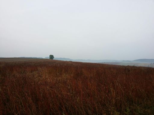 Pogórze Wałbrzyskie