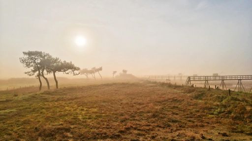 Brouillard de décembre