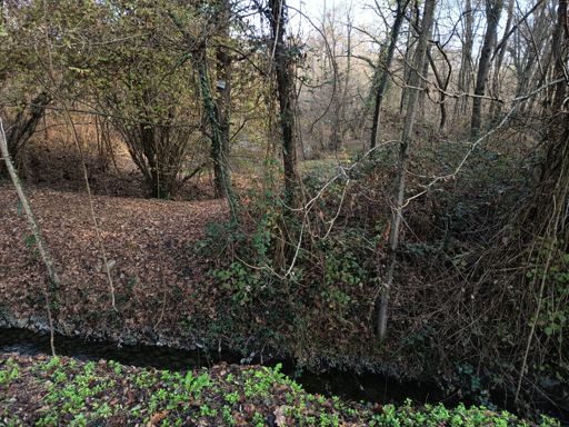 ROGGIA MOLINARA PROVENIENTE DAL FIUME TICINO