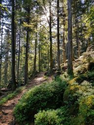 Entre le Coquin et la Maix