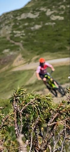 Subiendo el curriol a arriba del todo del turó