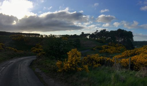 Never noticed before you can (just) see Thorters Reservoir from the Sancta Maria road.