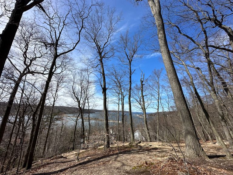 Cold Spring Harbor Hike photo 5