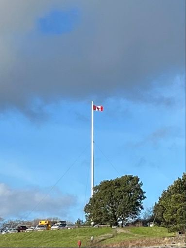 It was a sunny pretty day out, too nice to let it go by without getting outside, even if only for a little meander. 