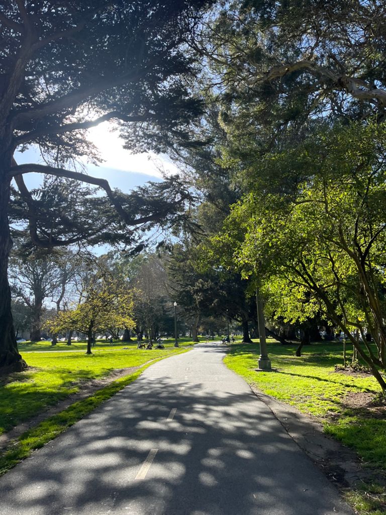 Butterlap (Presidio & Golden Gate Park) photo 69