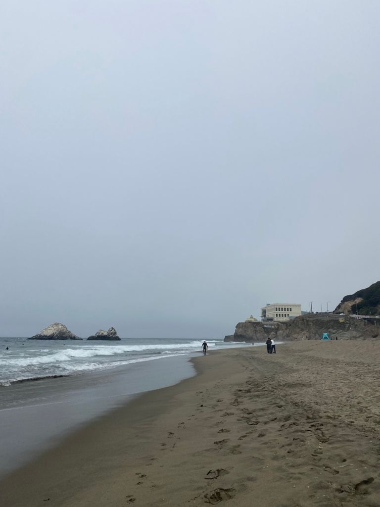 Butterlap (Presidio & Golden Gate Park) photo 147