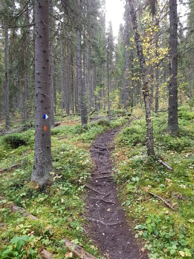 Dom gillar gegga här uppe i norr