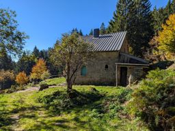 Boucle lac blanc  Hirschteine