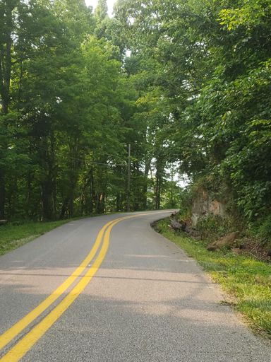 Back in my tunnels of green 💚