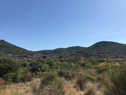 Vue sur les rûffes.