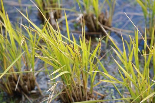 第二期、鋭意制作中