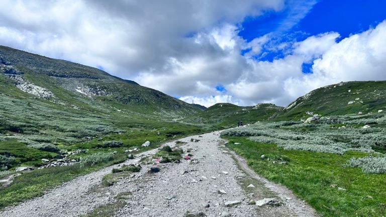 route-highlight