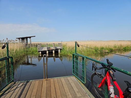 Zielone dopiero wychodzi w NPN