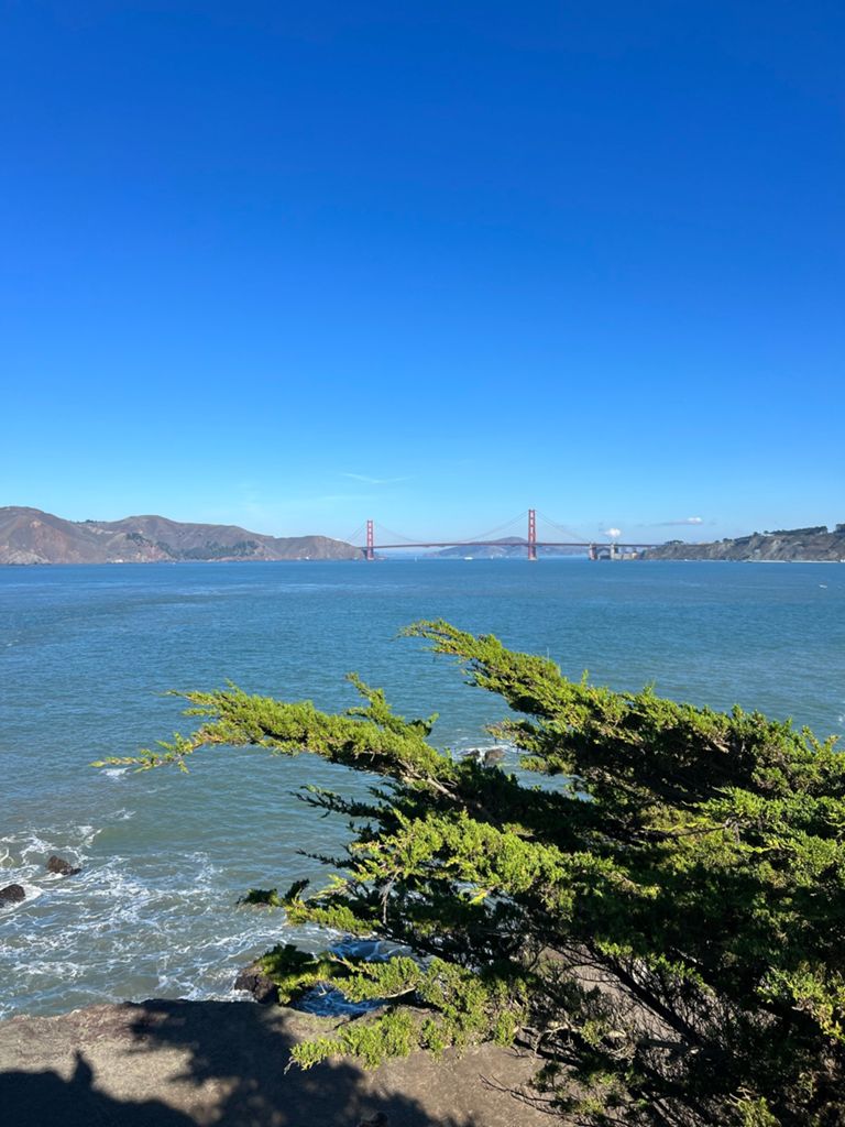 Butterlap (Presidio & Golden Gate Park) photo 120