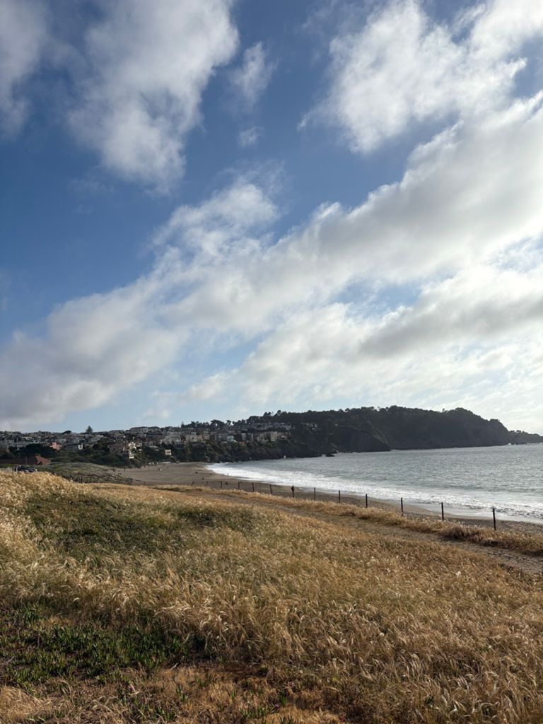 Butterlap (Presidio & Golden Gate Park) photo 132