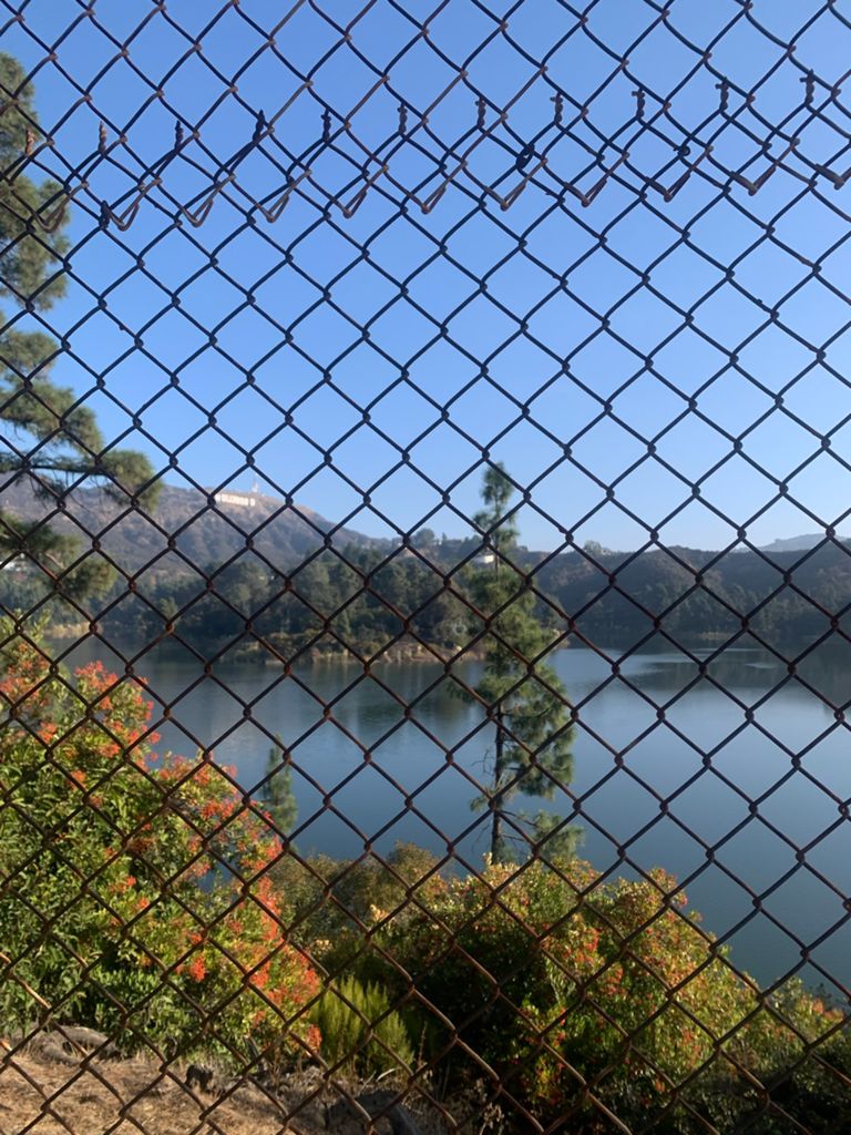 NBB run - Lake Hollywood photo 49