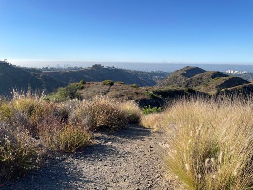 Didn’t set out to get on the leaderboard for the full segment, but when I realized the trail was empty, I just kept my foot on  the gas.