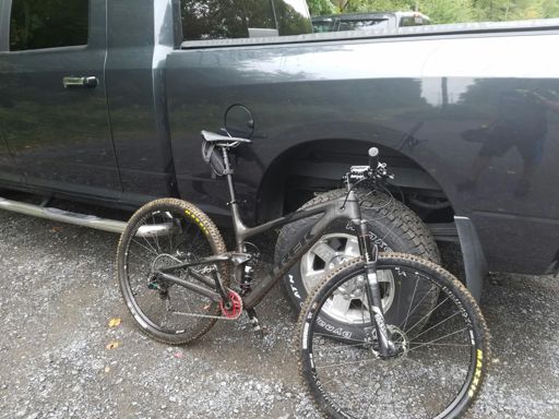 Needs a good bath now!