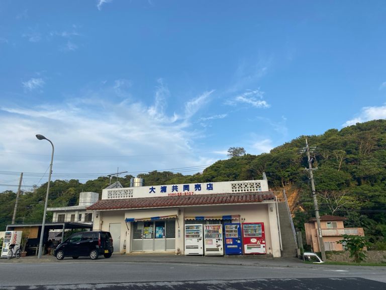 沖縄本島一周の最難関【北東部】 | とある自転車乗りのチラシ裏