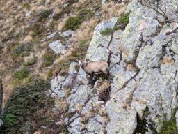 Le Luisin lac de Salanfe