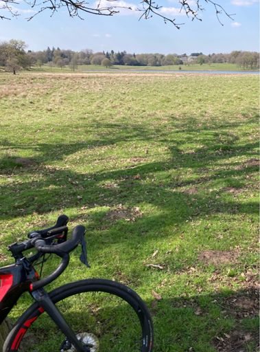 Tatton Park with the hall in the distance.