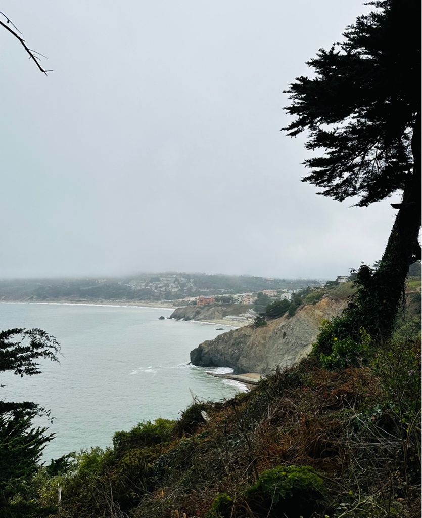 Butterlap (Presidio & Golden Gate Park) photo 56