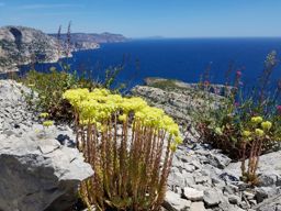 Rando des calanques