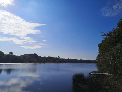Tottiford Reservoir lookey likey