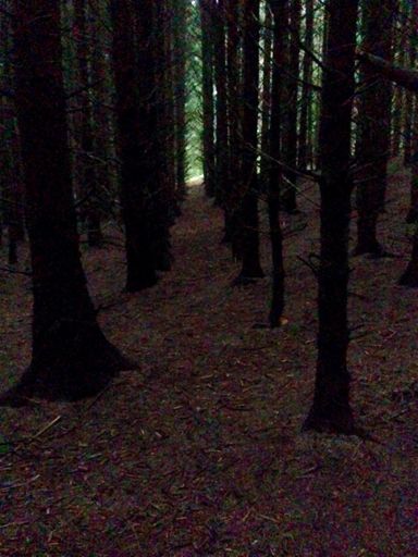 Sunset at 4:09pm, gonna be a long ass winter