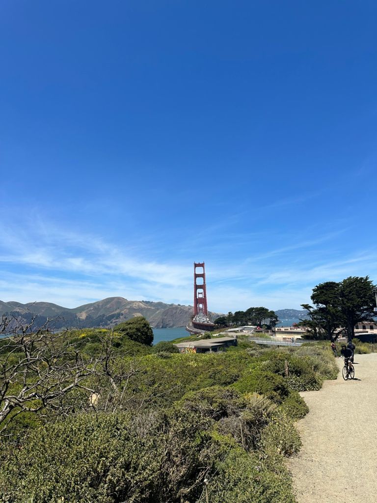 Butterlap (Presidio & Golden Gate Park) photo 94