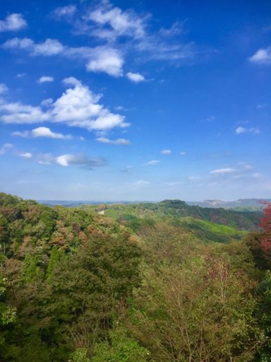 大福山展望台より。北側