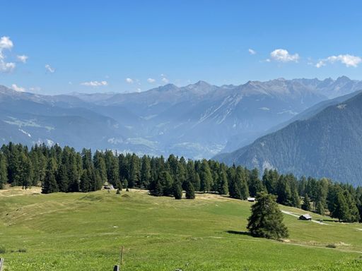 isn't that amazing ?