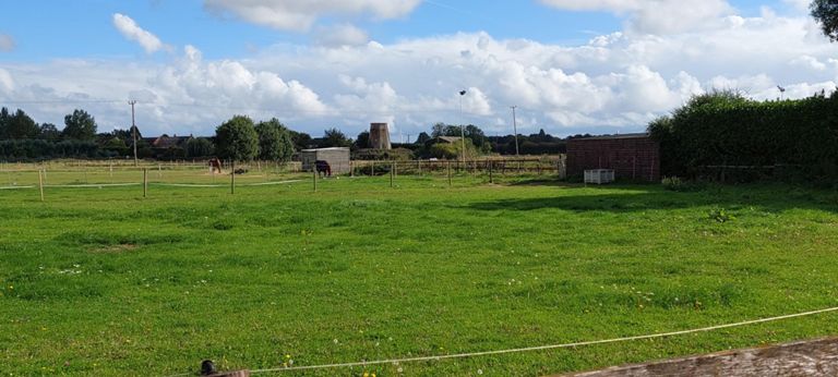 Grade I listed 1779 Sneath's Mill in Lutton Gowt, Long Sutton.  https://new.millsarchive.org/product/sneaths-mill-lutton-gowts-long-sutton-lincolnshire/