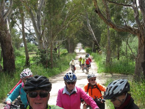 Waiting for the second and third group.