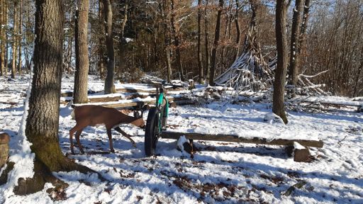 Die 2 waren direkt Freunde 😂